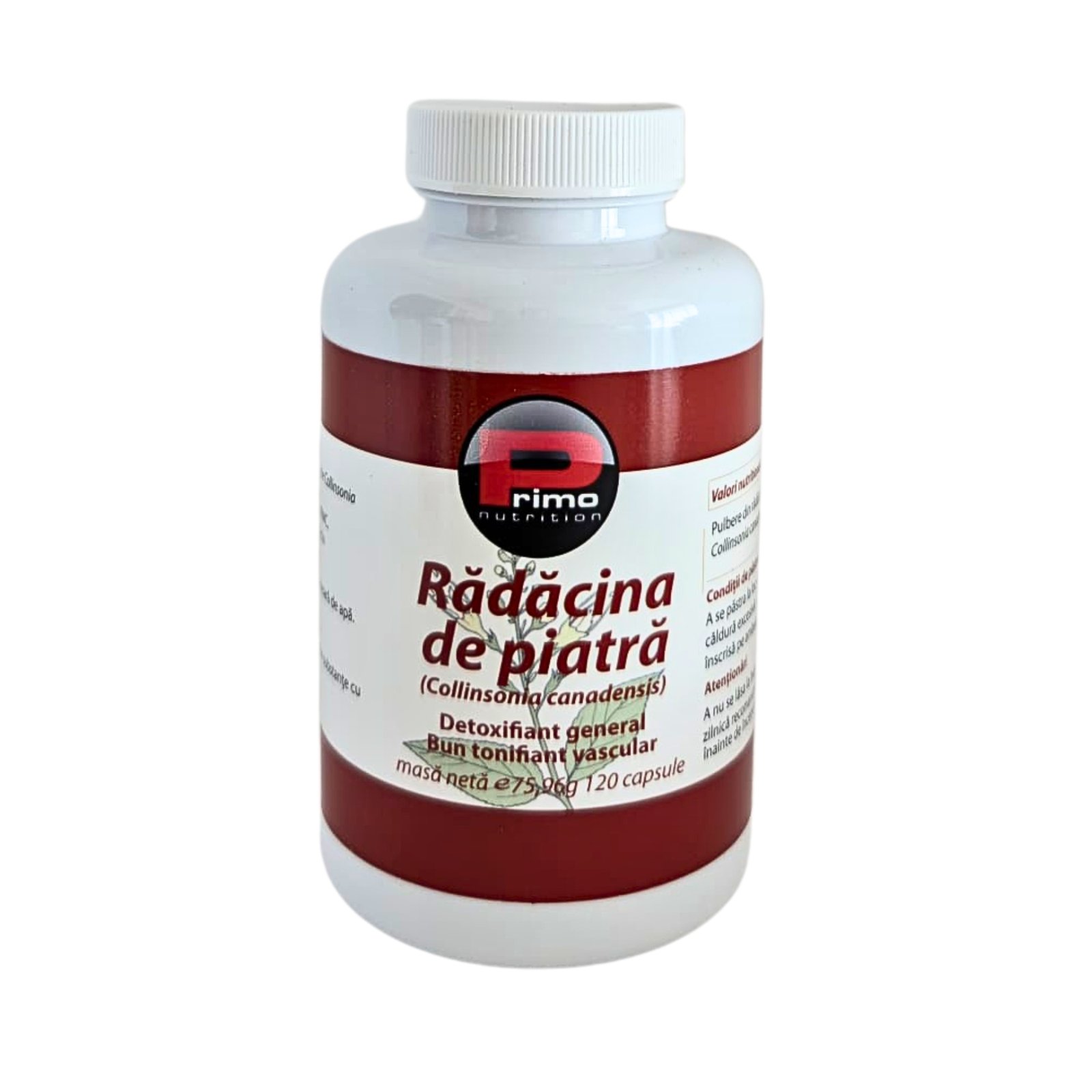 radacina de piatra collinsonia colinsonia canadensis capsule pastile hemoroizi varice primo nutrition