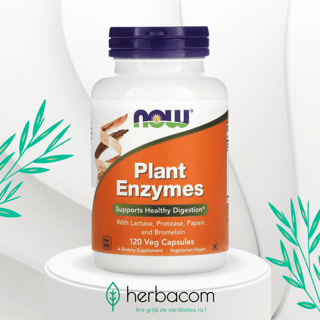 enzime din plante plant enzymes 120 capsule now foods