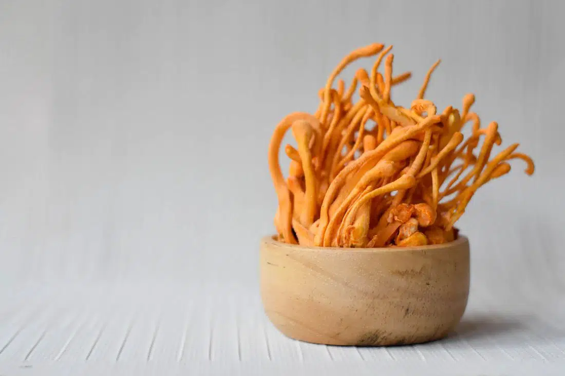 cordyceps ciuperca capsule