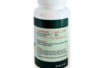 artemisinin 100 mg extract de artemisia annua pelin dulce pelinita