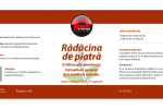 radacina-de-piatra-collinsonia-colinsonia-canadensis-capsule-pastile-hemoroizi-varice-primo-nutrition-