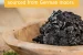 natural-moor-mud-supports-digestion-and-immune-system-397418.webp