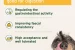 natural-moor-mud-supports-digestion-and-immune-system-819025.webp