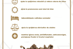 scoarta de magnolie beneficii