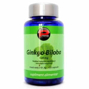 Ginkgo Biloba Extract, 120 mg, 120 capsule