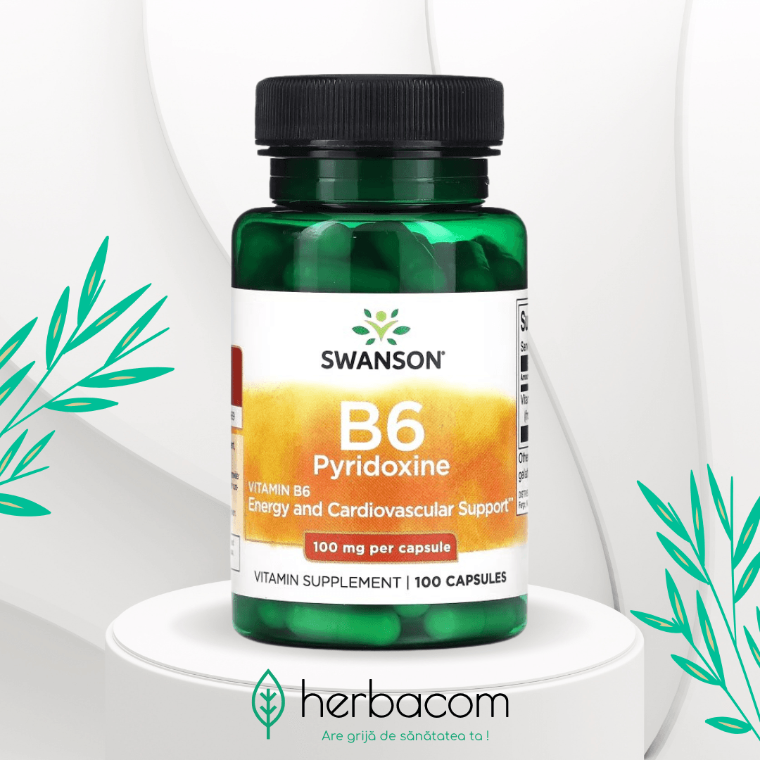 vitamina b6 piridoxina 100 mg swanson 100 capsule